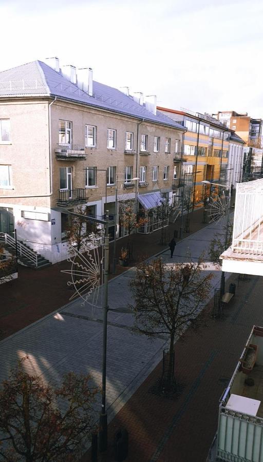 Downtown Apartment Rentals Šiauliai 외부 사진